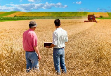 Mitos sobre a gestão de demandas para o agro